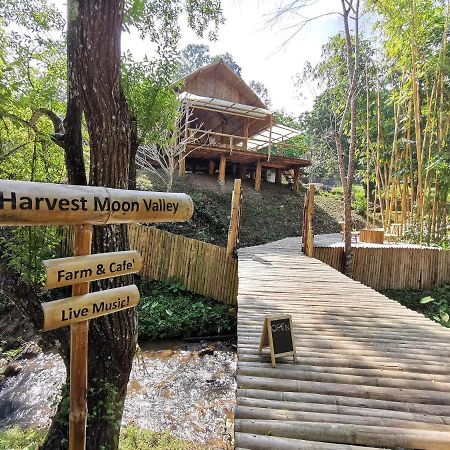 Harvest Moon Valley Ban Pang Luang Esterno foto