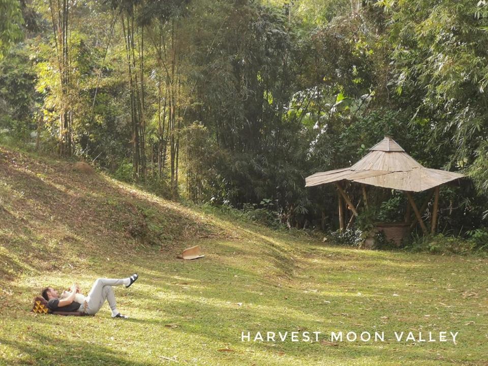Harvest Moon Valley Ban Pang Luang Esterno foto